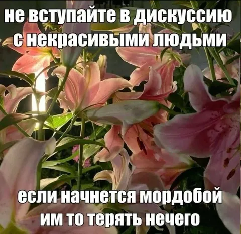 Не вступайте в дискуссию с некрасивыми людьми