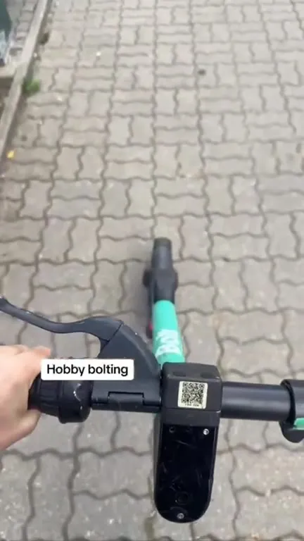 Hobby Bolting on a Scooter