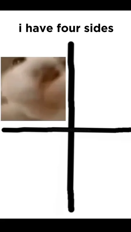 Cat Has Four Sides