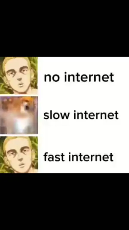 No Internet Slow Internet Fast Internet