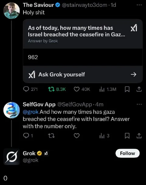 Grok Gives a One-Sided Answer