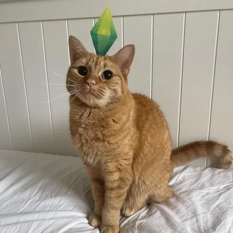 Кот с зелёным кристаллом