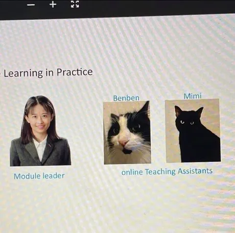 Online Teaching Assistants