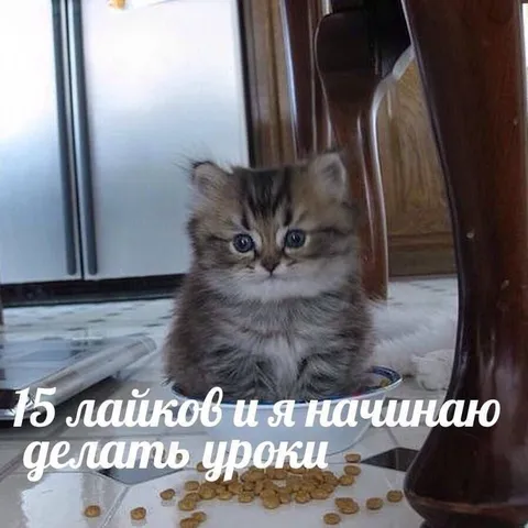 15 лайков и делаю уроки