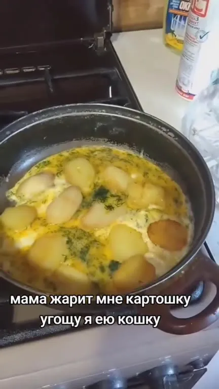 Картошка и красивые котики