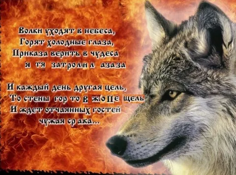 Волки уходят в небеса
