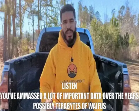 Terabytes of Waifus