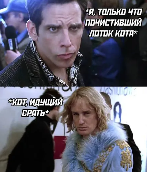 Кот идёт срaть после уборки