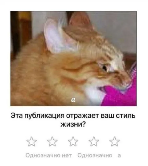 Кот яростно кусает руку