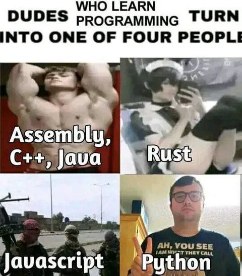 Four Types of Programmers