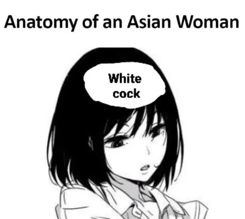 Anatomy of an Asian Woman