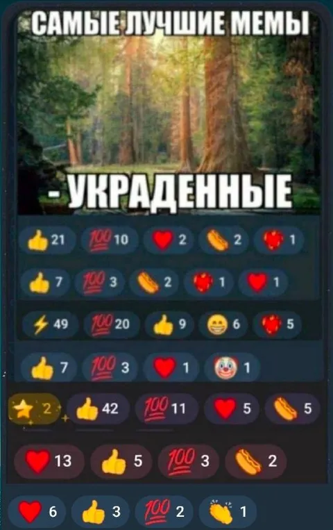 Самые лучшие мемы — украденные