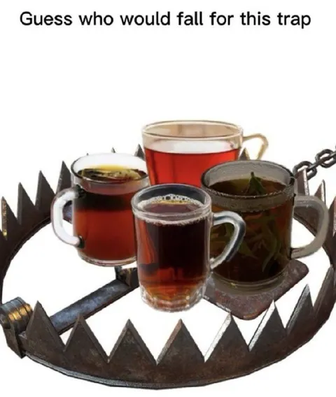 Tea Trap Bait