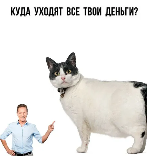 Куда уходят все твои деньги