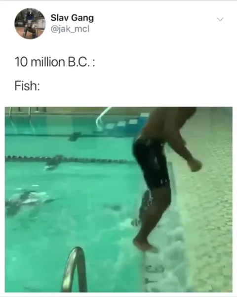 10 Million B.C. Fish Walking