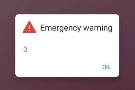 Emergency Warning :3