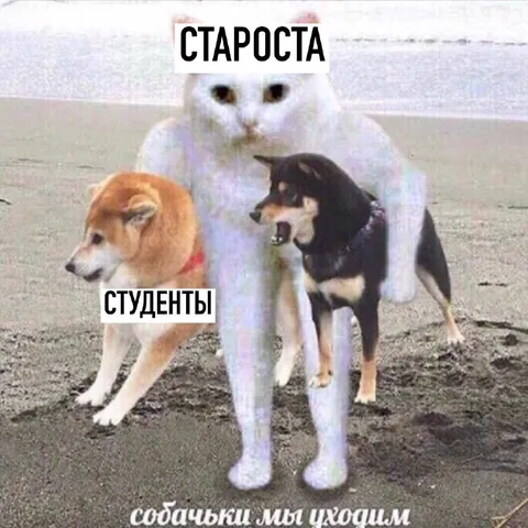 Староста уводит студентов