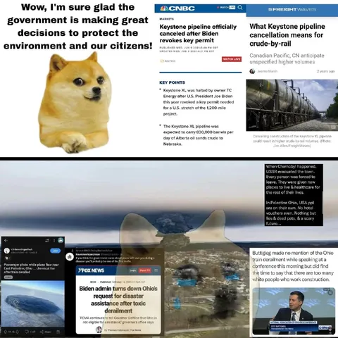 Doge Praises Environmental Decisions