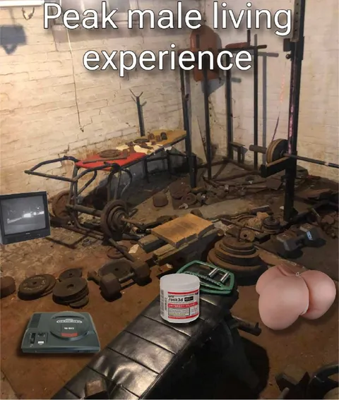 Peak Male Living Experience