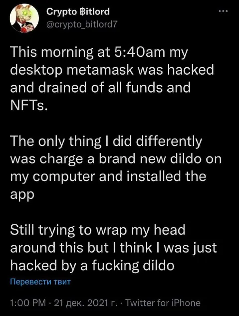 Hacked by a Fucking Dildo