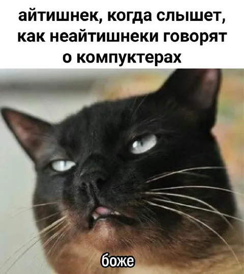 Айтишник слышит разговор о компьютерах