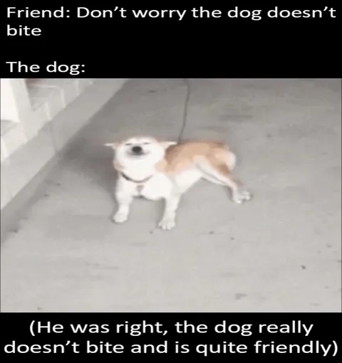 The Dog Doesn’t Bite