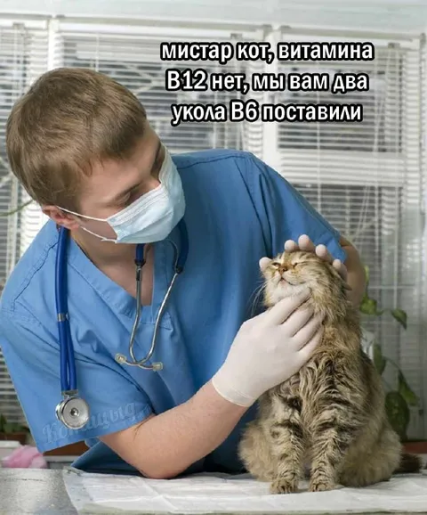 Коту перепутали витамины