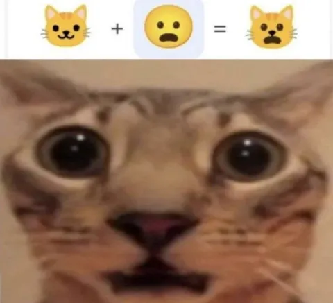 Кот от неожиданности