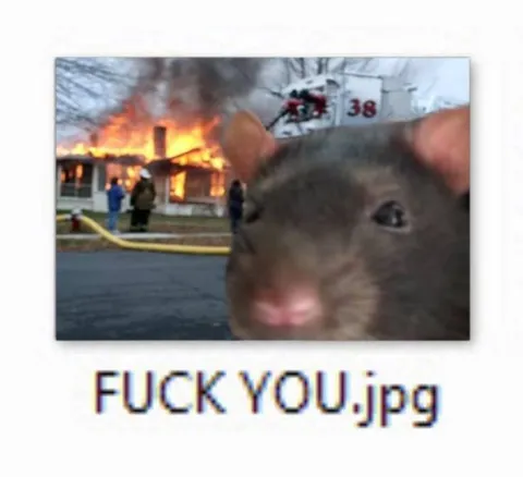 Rat Says Fuck You