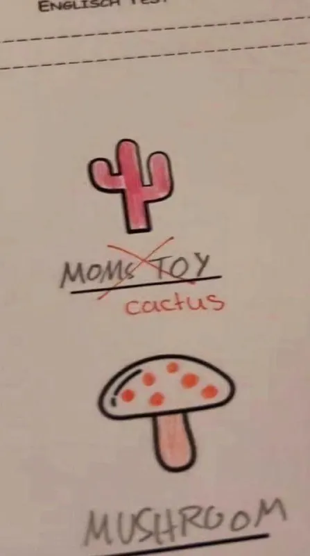 Cactus and Mushroom English Test