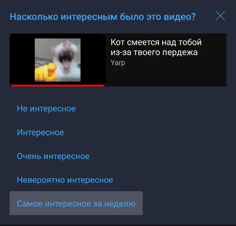 Кот смеется над твоим пердежом