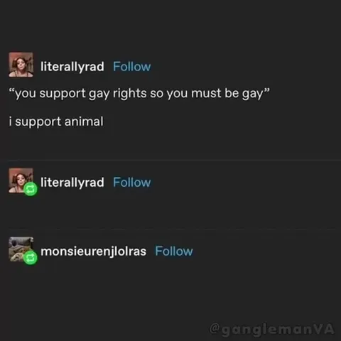 The Alpaca Came Out Gay
