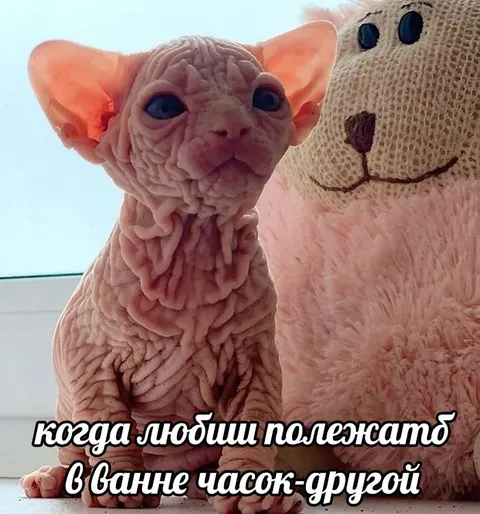 Любишь полежать в ванне