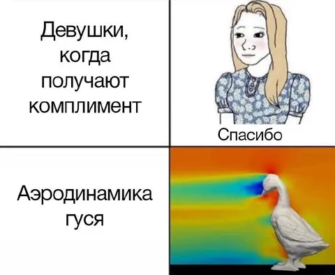 Девушки и аэродинамика гуся