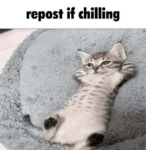 Repost If Chilling