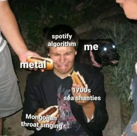 Spotify Algorithm Gives Me Everything