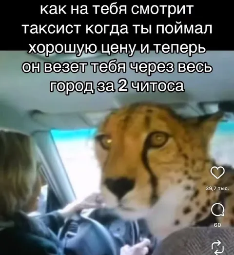 Таксист везёт за два читоса