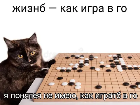 Кот не умеет играть в го