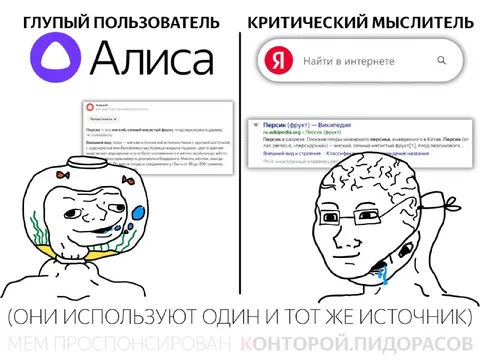Глупый пользователь и критический мыслитель