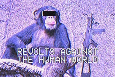 Chimp Revolts Against Humanity