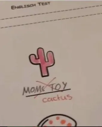 Cactus Is Mom’s Toy