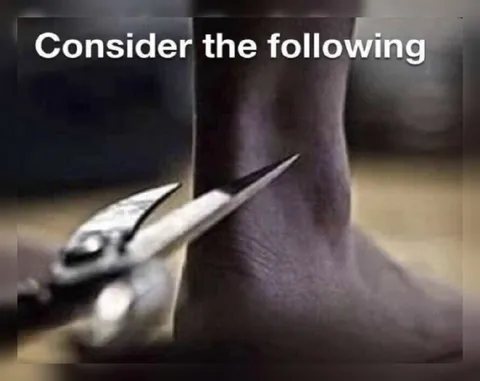 Consider the Following Scissors