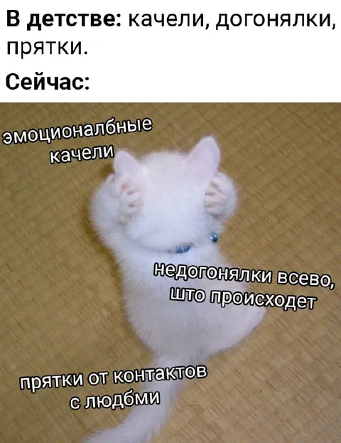 Эмоциональные качели взрослой жизни
