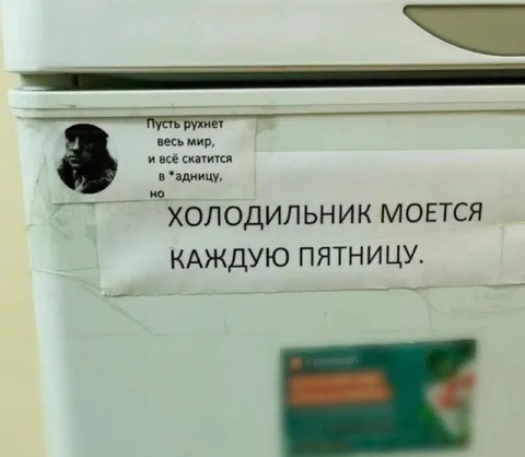 Холодильник моется каждую пятницу
