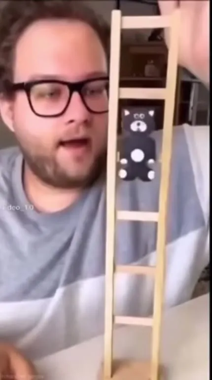 Кот съезжает по лестнице