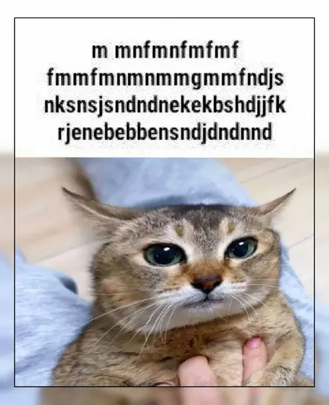 Кот, который говорит на своём языке