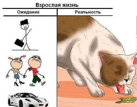 Взрослая жизнь: ожидание и реальность