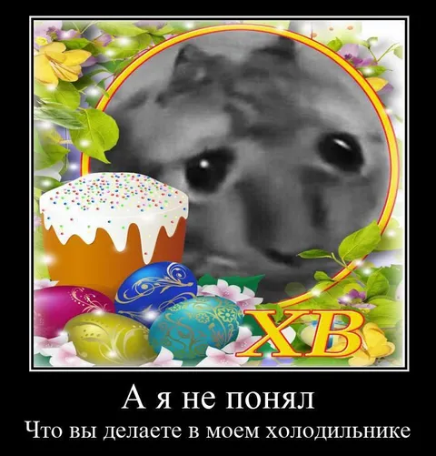 Кот в чужом холодильнике