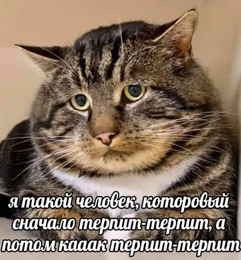 Сначала терплю, потом терплю
