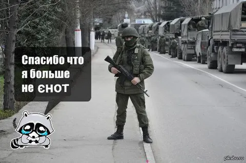 Спасибо, что я больше не енот